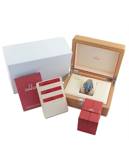 Omega Seamaster 300 234.30.41.21.03.001 Image 4
